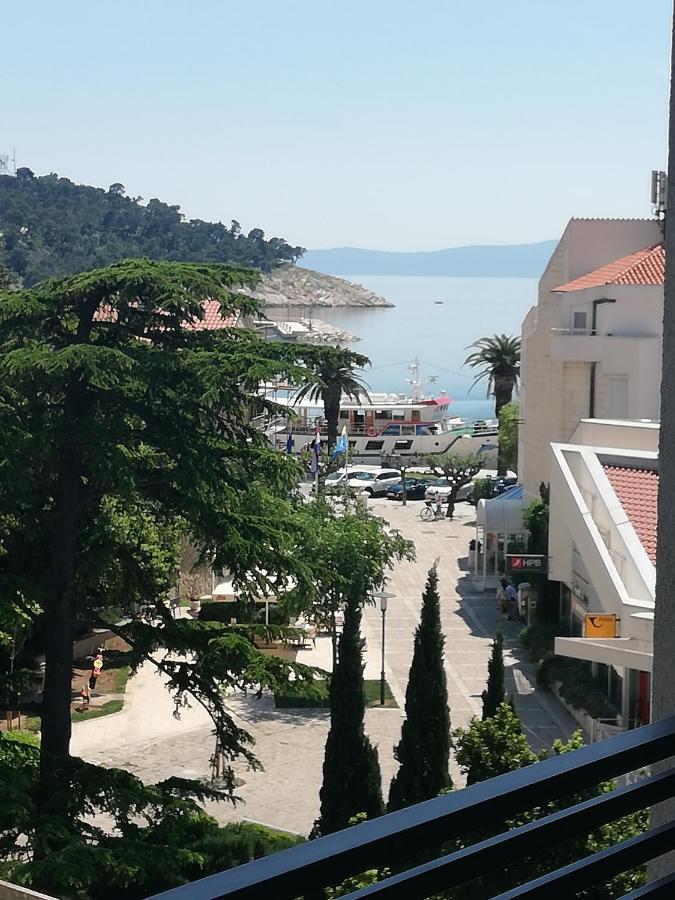 Laurus Apartment